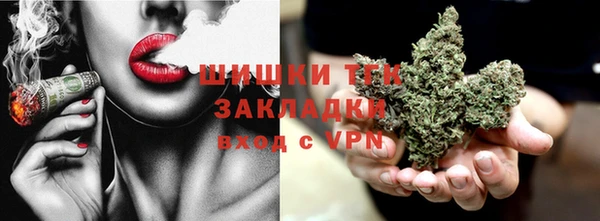 тгк Алзамай