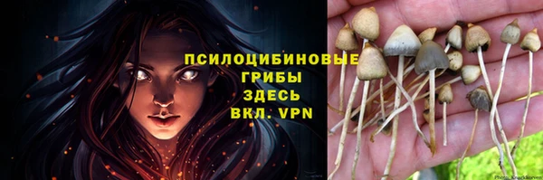 наркотики Алексеевка