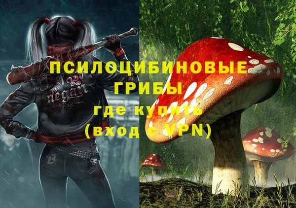 метадон Алексин